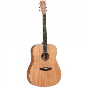 Tanglewood TWU-D-i